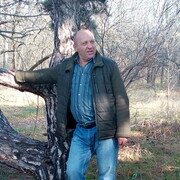 ���������� ���������, ���� ������� ����, 65 ���, ������������ ��� c�������� ���������