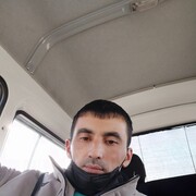 ���������� �������, ���� ������� Sardor, 39 ���, ������������ ��� ������, ����� � ���������, c�������� ���������