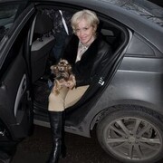 ���������� ������, ���� ������� IrisMia, 56 ���, ������������ ��� ������, ����� � ���������, c�������� ���������, ���������