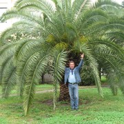  ,   , 59 ,   ,   , c , 