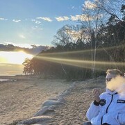 ���������� �����-���������, ���� ����� ��������, 25 ���, ������������ ��� ������, ����� � ���������