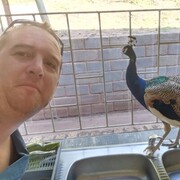  Centurion,   Pieter Botha, 39 ,   ,   
