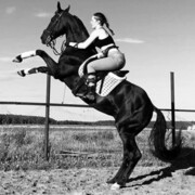 ���������� ������, ���� ������� �������, 24 ����, ������������ ��� ����� � ���������, c�������� ���������