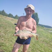 ,   , 46 ,   c 