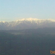 ���������� ���, ���� ������� ������, 38 ���, ������������ ��� ������, ����� � ���������, c�������� ���������