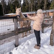 ���������� ������, ���� ������� ���������, 27 ���, ������������ ��� ����� � ���������, c�������� ���������, ���������