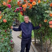  ,   , 50 ,   ,   