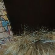  -,   , 20 ,   ,   