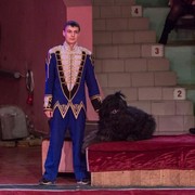 ���������� �����, ���� ������� ���������, 28 ���, ������������ ��� ����� � ���������, c�������� ���������, ���������