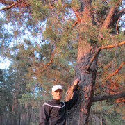 ���������� �����-���������, ���� ������� ��������, 48 ���, ������������ ��� ������, ����� � ���������, c�������� ���������