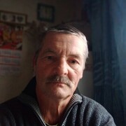  ,   , 62 ,   ,   
