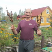 ���������� �������, ���� ������� �������, 65 ���, ������������ ��� ������, ����� � ���������, c�������� ���������