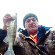  ,   , 70 ,   ,   