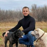 ���������� ���������, ���� ������� �����, 37 ���, ������������ ��� ������, ����� � ���������