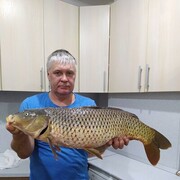 ���������� ����������, ���� ������� ������, 53 ����, ������������ ��� c�������� ���������