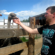 ���������� ������� ��������, ���� ������� ������, 33 ����, ������������ ��� ������