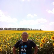 ���������� �������, ���� ������� ����, 38 ���, ������������ ��� ������, ����� � ���������, c�������� ���������