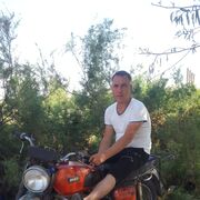 ���������� �������, ���� ������� ���������, 38 ���, ������������ ��� ������, ���������