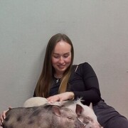 ���������� �������� ������, �������