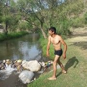  ,   Dav, 37 ,   ,   , c 
