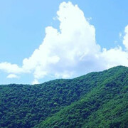 ���������� ������-��-����, ���� ������� ���, 44 ����, ������������ ��� ����� � ���������, c�������� ���������