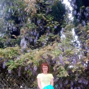 ���������� �����, ���� ������� �������, 45 ���, ������������ ��� ����� � ���������, c�������� ���������