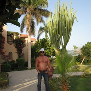 ���������� ������, ���� ������� ����, 56 ���, ������������ ��� ������, ����� � ���������, c�������� ���������