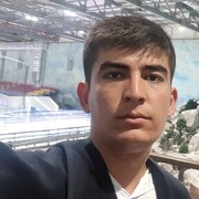  ,   Alibek, 31 ,     , c 