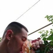 ���������� ������, ���� ������� ����, 28 ���, ������������ ��� ������, ����� � ���������, ���������