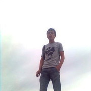  ,   Jenis, 31 ,   