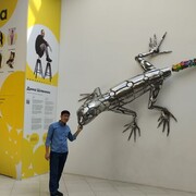 ���������� ������, ���� ������� ������, 36 ���, ������������ ��� ����� � ���������