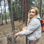 ���������� �����, ���� ������� �������, 35 ���, ������������ ��� ������, ����� � ���������, c�������� ���������