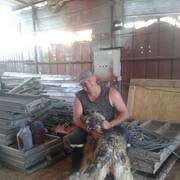 ���������� ������, ���� ������� ����, 40 ���, ������������ ��� ������, ����� � ���������