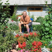  ,   , 54 ,   