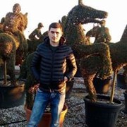  ,  Mose, 37