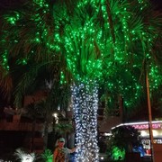 ���������� ��������, ���� ������� �������, 55 ���, ������������ ��� ����� � ���������, c�������� ���������