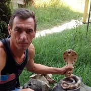  ,   , 49 ,   ,   , c 