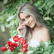 ���������� ������, ���� ������� ��������, 23 ����, ������������ ��� ������, ����� � ���������