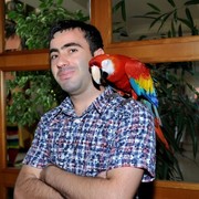  ,   Roma, 40 ,   ,   , c 