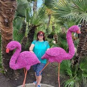  ,   , 60 ,     , c 