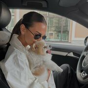 ���������� �����, �����������