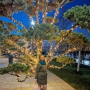 ���������� ���������, ���� ������� ��������, 31 ���, ������������ ��� ������, ����� � ���������, c�������� ���������, ���������