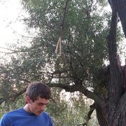  ,   , 32 ,   , 