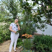  ,   , 55 ,   c 