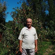 ���������� ������, ���� ������� ����� ������, 79 ���, ������������ ��� ������, ����� � ���������