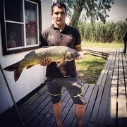 ���������� ������, ���� ������� Ը���, 31 ���, ������������ ��� ����� � ���������