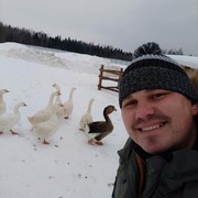 ���������� �����������, ���� ������� ���, 36 ���, ������������ ��� ������, ����� � ���������, c�������� ���������