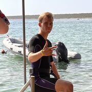 ���������� ������, ���� ����� �����, 22 ����, ������������ ��� ������, ����� � ���������