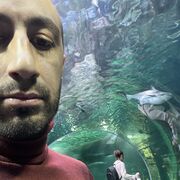 ���������� ������, ���� ������� ����, 35 ���, ������������ ��� ������, ����� � ���������