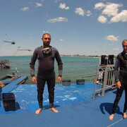 ���������� ������, ���� ������� �������, 35 ���, ������������ ��� c�������� ���������